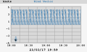Wind Vector